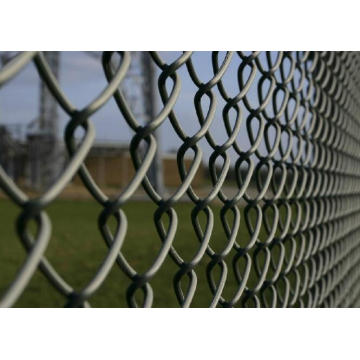 Low Price Galvanized Chain Link Fence